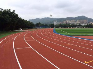 体育场运动跑道